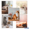Тетрадь А5 48 л. скоба клетка матовая ламинация Cats 405334 Brauberg РА-00021374
