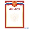 Диплом А4 РФ, для принтера 157г/м2 9-19-365 РА-00021613