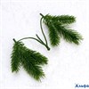 Декор Веточка ели 13×9×3 см РА-00007888