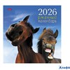 2026 Календарь перекидной 300х300мм скрепка 12л Ржачный_Год Лошади HATBER 12Кнп4_34666 РА-00022806