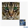Мозаика алмазная 30х30 см Бенгальская кошка KM0671 Molly РА-00013571